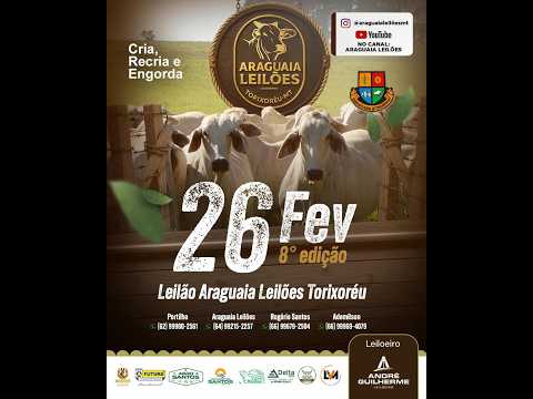 Araguaia leilões Torixoréu - MT  26/02/2026
