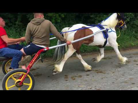 Appleby Horse Fair Friday 2018
