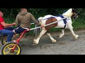 Appleby Horse Fair Friday 2018