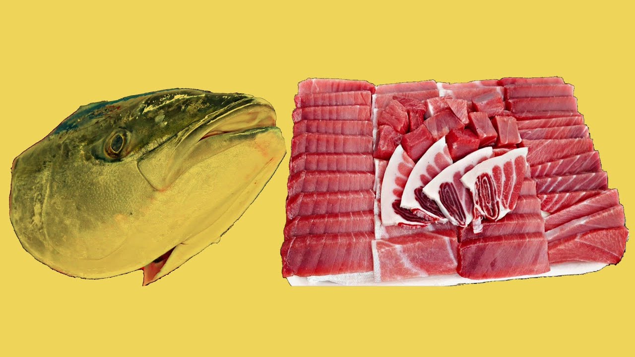 참치회 , 방어회 , 오도로 , 소방어 , bluefin tuna , yellowtail