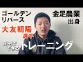 【トレタテ！】秋田のアスリートが教える自宅でできるトレーニング③野球 大友朝陽選手