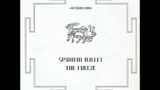 Spandau Ballet - The Freeze (Demo Version)