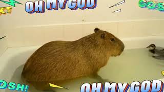 Cover art for ok i pull up