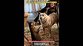 Dog and cat are best friends #trollface