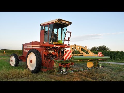 Hesston - Fiatagri 7835 - Loonw. De Bruyne - graszaad maaien