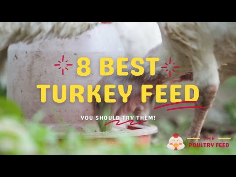 , title : '8 Best Turkey Feed in 2021 - The Poultry Feed'
