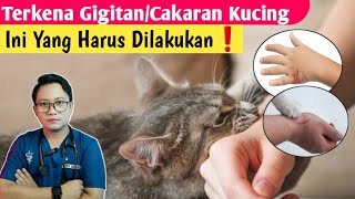 Download lagu CAT BITES/SCRATCHES || Here's what to do ❗ mp3 Download lagu CAT BITES/SCRATCHES || Here's what to do ❗ mp3