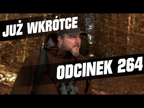 Darz Bór zapowiedź odcinka 264