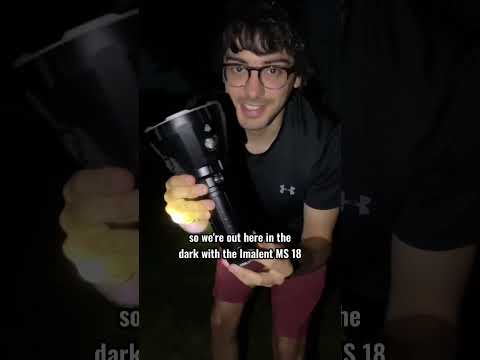 使用手电筒应用程序进行 Spotlight