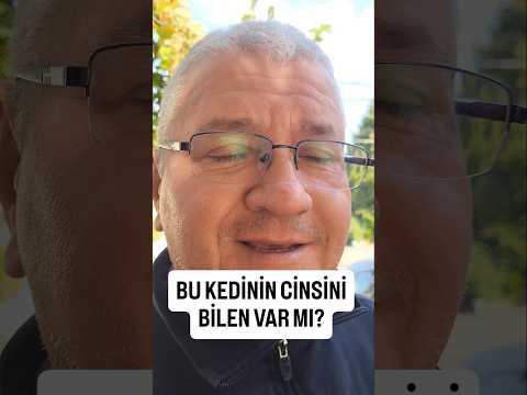 NE TATLILAR.#kedi #patili #patilidostlarımız