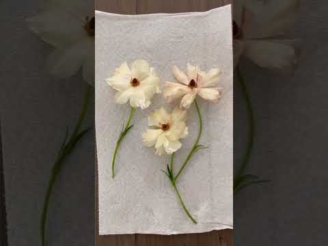 3 Ways to Preserve Flowers