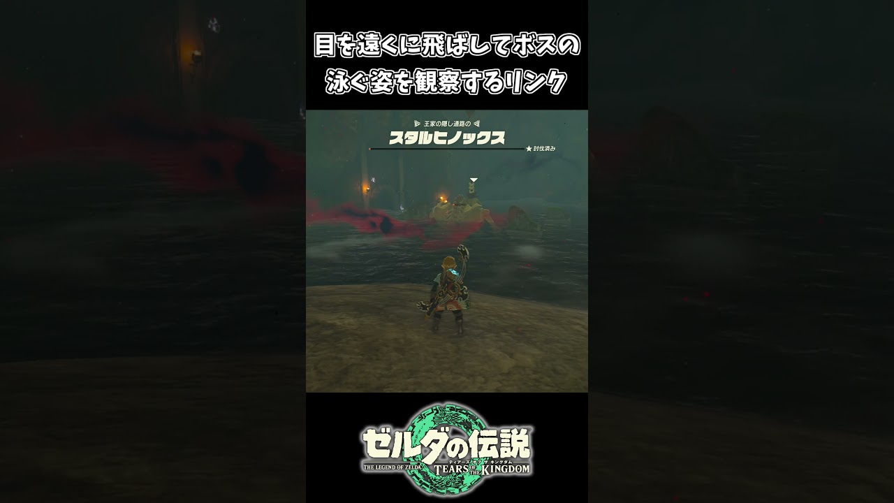 泳ぐスタルヒノックスを観察するリンクｗｗ【ゼルダの伝説 ティアーズ オブ ザ キングダム】