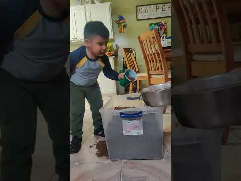 Nehemiah's Dog             Lassie the(German shepherd)