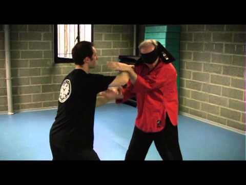 Francois Arambel Wingchundo