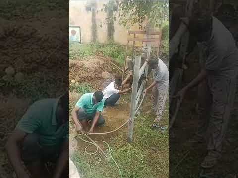 Stomach tube intubation in cattle draining of rumen fluid🐄🐄🐂//#omprakash yadav shorts 💐💐