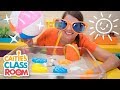 Caitie S Classroom Live Summer