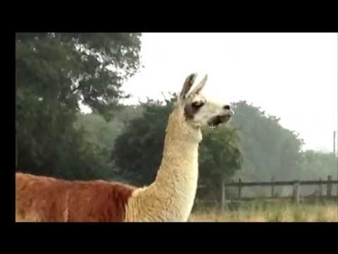 Revision 2014 - Compos - Photo