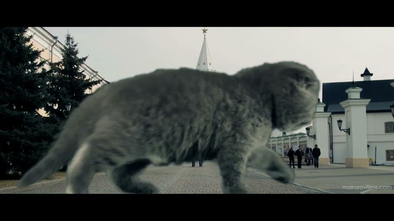 Рекламный ролик в Казани