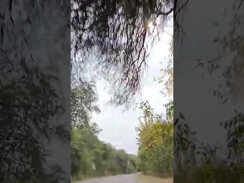 Viaje desde Coronel Moldes a Finca Mi Tata | Pesca en el Cabra Corral 2026 #pesca #salta #viajes