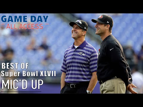 Jim Harbaugh Ravens