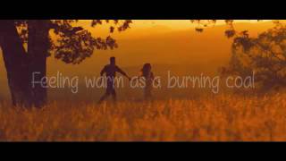 Steve Aoki &amp; Walk Off The Earth   Home We&#39;ll Go Take My Hand Lyrics Video