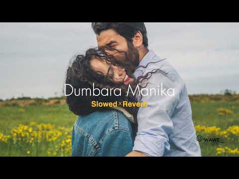 Dumbara Manika (𝙎𝙡𝙤𝙬𝙚𝙙×𝙍𝙚𝙫𝙚𝙧𝙗)