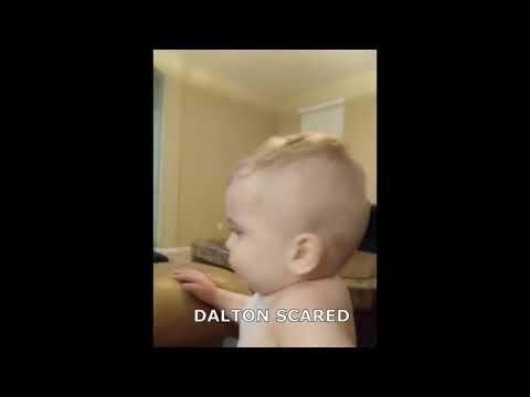 dalton scared