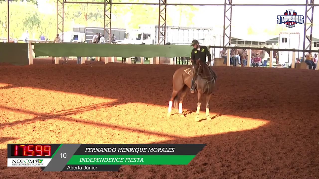 Independence Fiesta x Fernando Morales - campeões NOPQM Ab Jr - 16,893