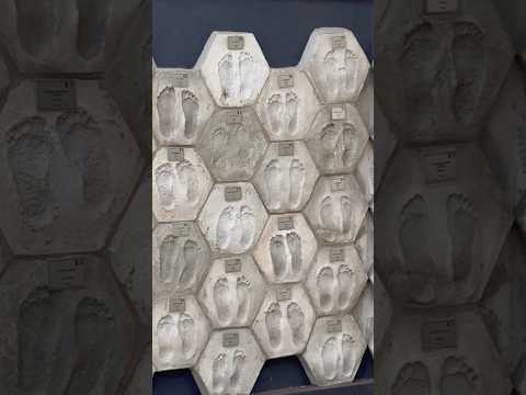 Pedrinhas Paulista/SP #travel #history #city #travelvlog #turismo #viagem #sp #highway #nature