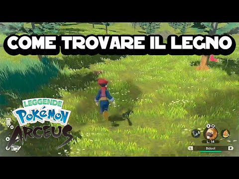 How to Find Wood in Pokemon Arceus