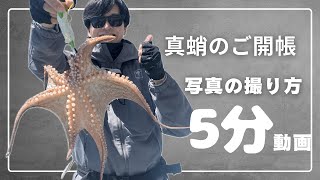 タコが映える！真蛸のご開帳写真テクニック (明石船タコ・東京湾船タコ)