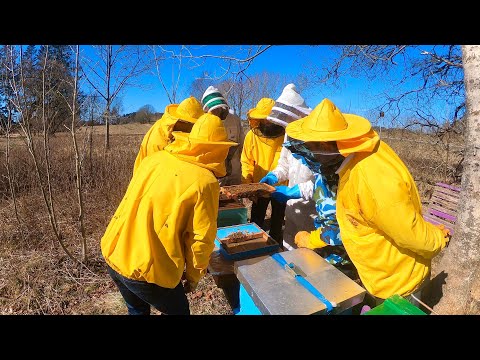 Biodling - Vårkontroll Praktiskt