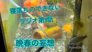 #寝落ち　のできないラジオ第5話　晩春の妄想(雑談内容は動画説明欄に記載)