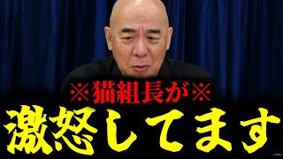 【緊急速報】猫組長が激怒！もう誰も彼のことを止められない・・・　【日本保守党 百田尚樹 有本香 高橋洋一 北村晴男 あさ8】