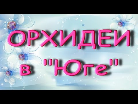 ЧУДЕСНЫЙ завоз ОРХИДЕЙ в "Юге",14.07.21,Самара,ул. Авиационная,8.