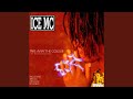 Megamix (Robyx Meg-a-mix)