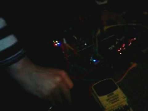 Zebra Mu / Gokkun Collaborative Performance