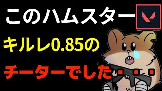 ゆせあさん、実はチーターでした・・・（大噓）【VALORANT】