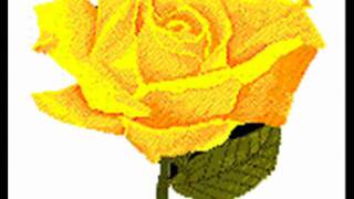 Duane Eddy  Wildwood Flower.wmv