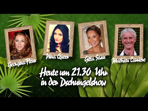 Die große BILD-Dschungelshow im Live-Stream - 27.01.2016