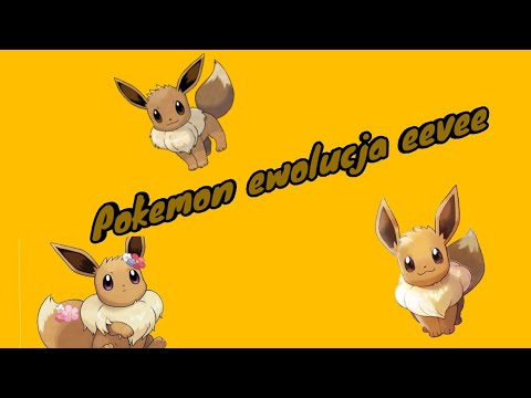 Ewolucja eevee