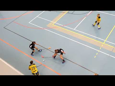 ssra koskri kooste 3.3.2019