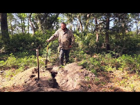 Pit Digging And Soil Profiles