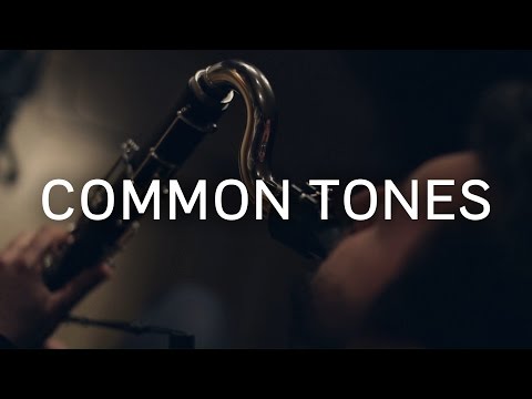 Common Tones - Flamingo