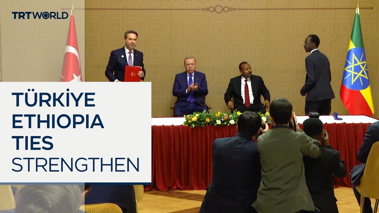 Turkish president meets Ethiopian PM to deepen co-operation