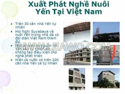 Kỹ Thuật Nuôi Chim Yến Trong Nhà Ở Việt Nam