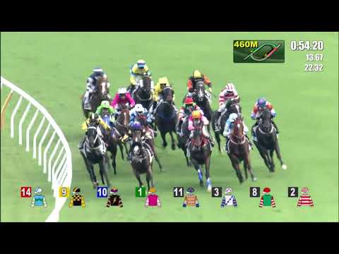 4/7/2021 (803) Galaxy Emperor - K Teetan