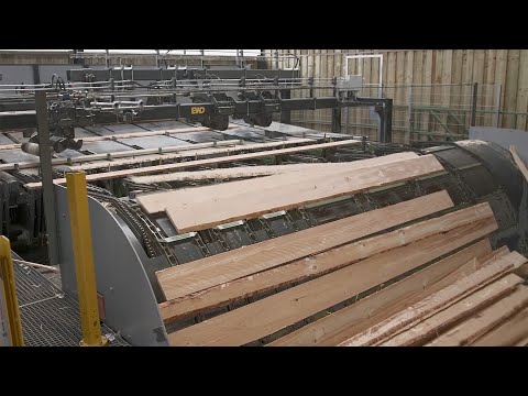 EWD Sägetechnik Besäumtechnik Sägewerk Scierie Decker Frères 2020