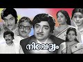 Malayalam Film Family Entertainer Cinema Nivedhyam Premnazir Soman K R Vijaya Unnimerry