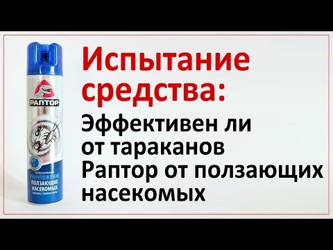 Испытание: как Раптор действует на тараканов